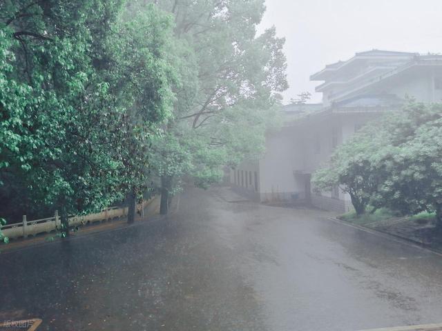 散文·中秋连云港 大雨润山河