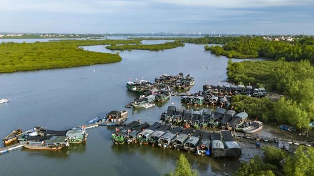 解锁湛江宝藏海岛！坐拥上万亩“天空之境”赶海胜地