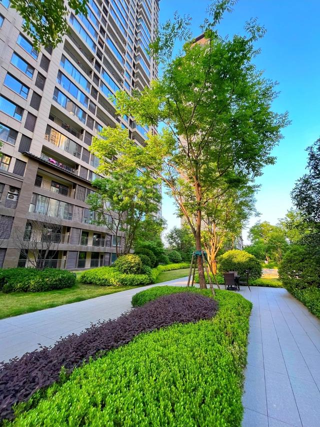 洛阳未来2大潜力区！别只盯洛邑古城，这俩地方才是真王牌！