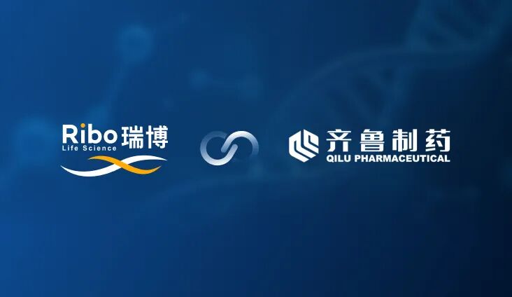 瑞博生物,港股“输血” 瑞博生物,港股“输血”