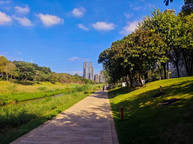 从学苑大道入大沙河绿过大学城后进深圳弯公园流花山景点【高清】