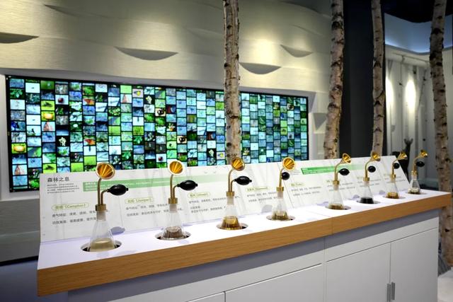 打卡新地标!来汉中这里,开启一场自然之旅~