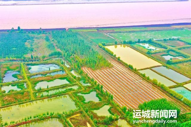 黄河一号旅游公路平陆段：层林尽染黄河岸