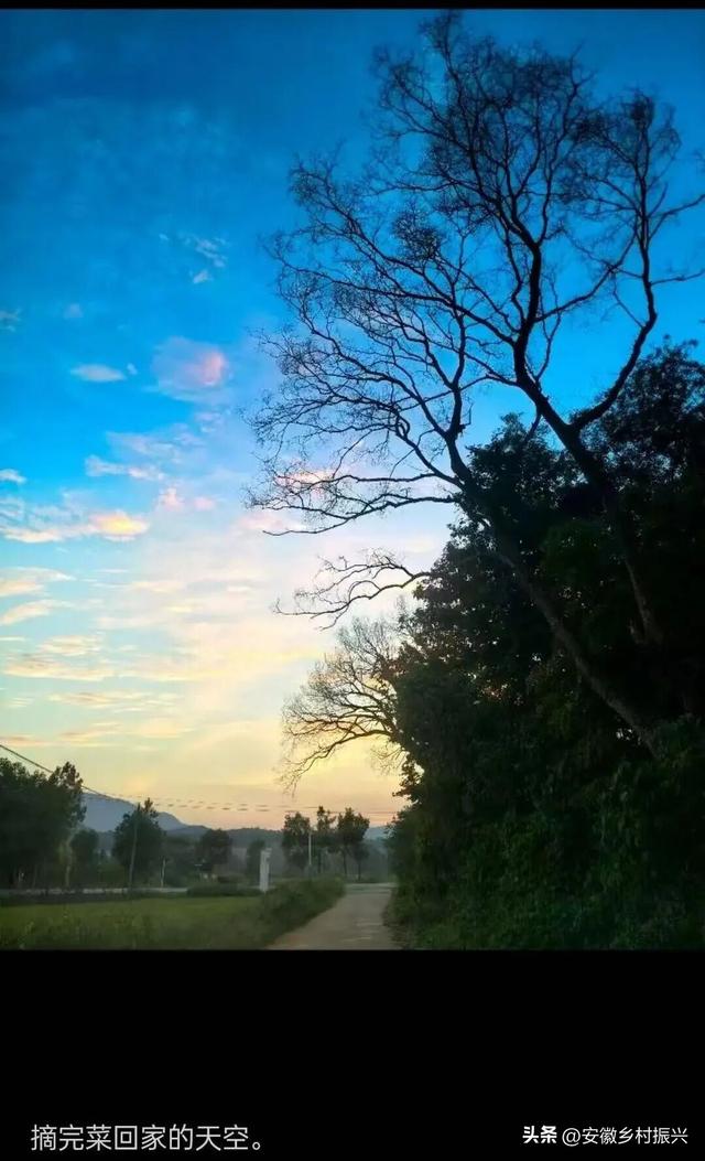 第一批抵达网红景点的游客，已被诈骗......