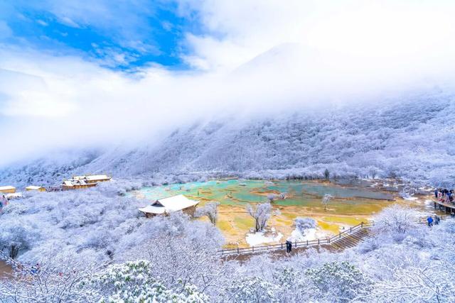 秋色未央，冬韵已至：请欣赏黄龙的限定色卡