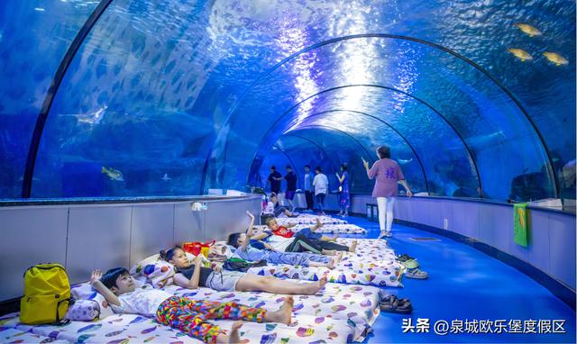 欧乐堡五大“夜经济”引擎，点亮“畅游齐鲁”清凉狂欢