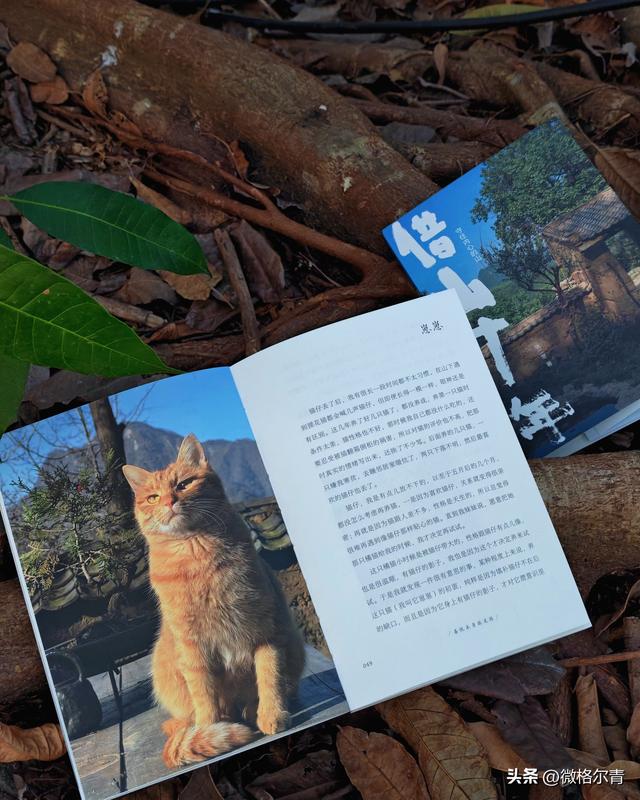 在终南山上隐居十年，是一种什么体验？