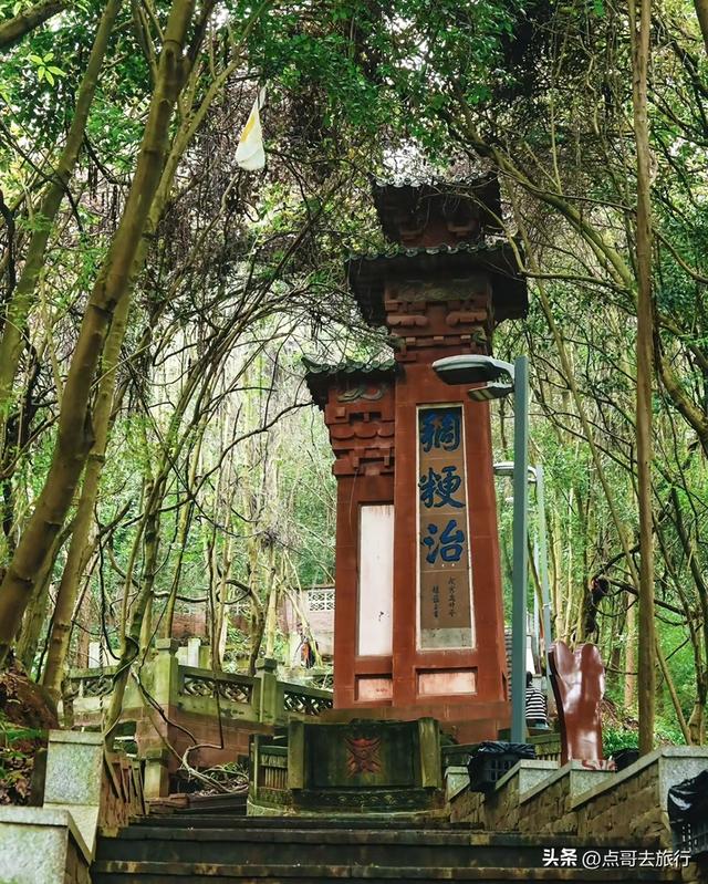 成都新津被严重低估的徒步路线，尤以象鼻子山更为爆红！