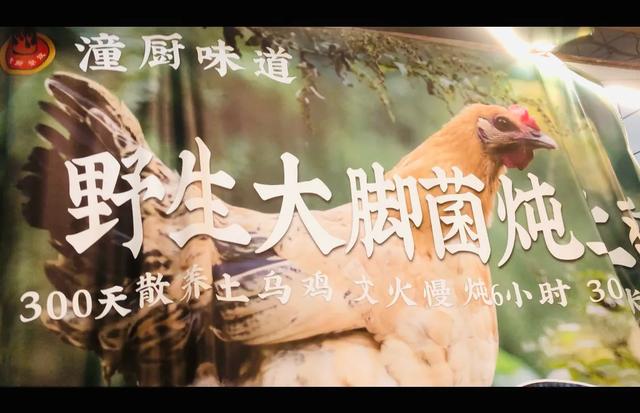 新春走基层:打卡潼南油菜花海 美景美食“文旅融合”醉春光