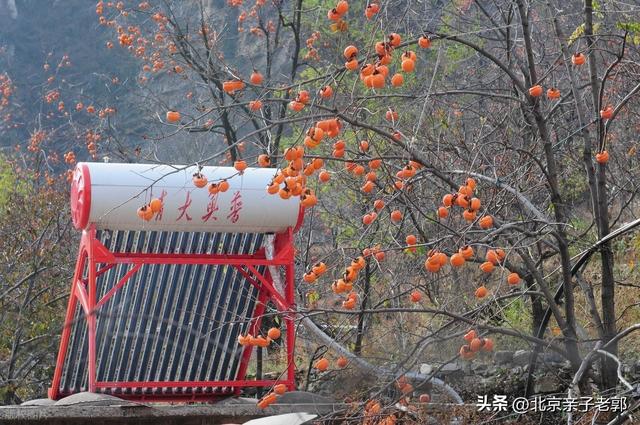 京郊自驾摘柿地图