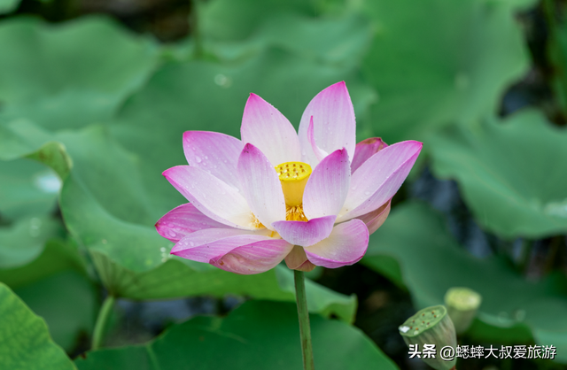 杭州萧山“看海”攻略来了，夏日，让我们来一场海之行，很惊艳！