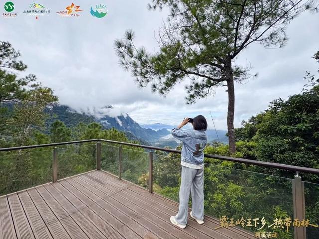 王下溯溪、船型屋寻踪、皇帝洞探秘，这场雨林黎乡之旅太上头！