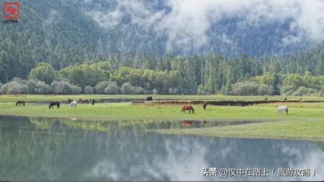 为什么西藏自驾都选汉中集合？