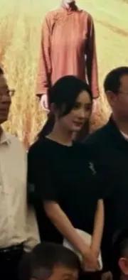 杨幂在研讨会上站C位，她的发言很真挚，迟蓬老师坐她旁边很漂亮