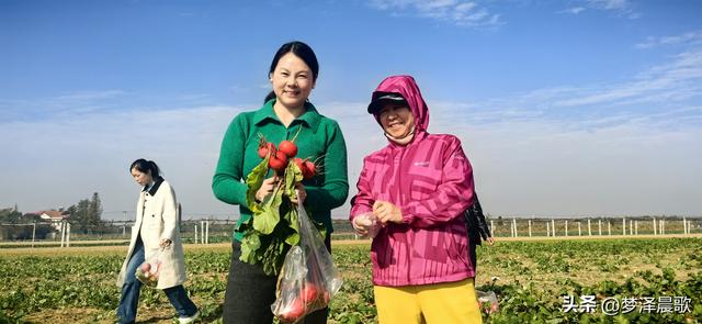周末新玩法：云梦博物馆看秦简，新马村拔萝卜，武汉家庭乐翻天