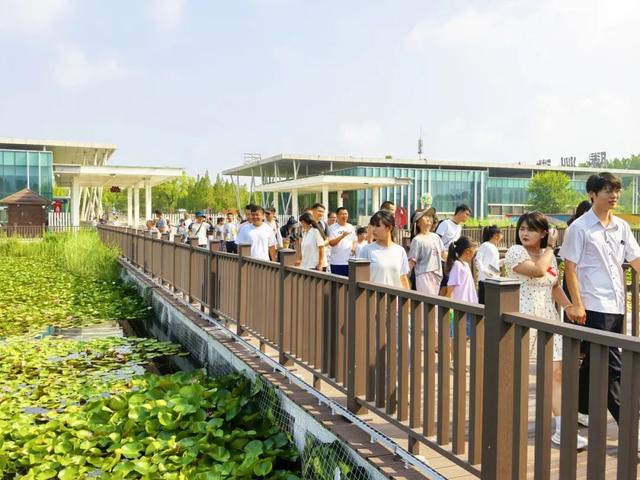 重磅消息！免票！免票！滕州微山湖红荷湿地面向山东省内游客免门票啦！