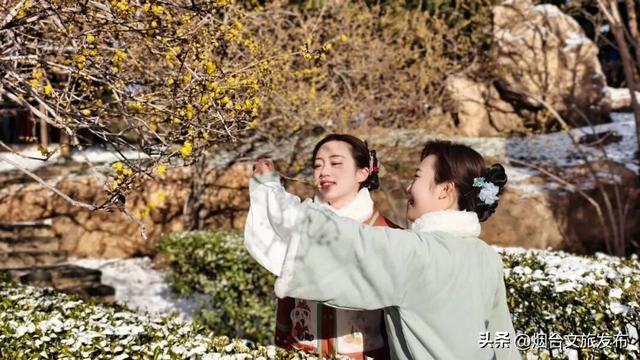 【乐游烟台】周末好去处丨全是花花！烟台神仙小店被花包围了