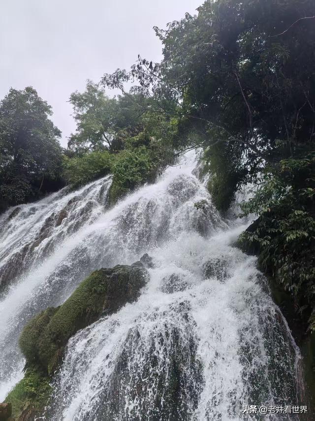 七孔映情 || 井明新