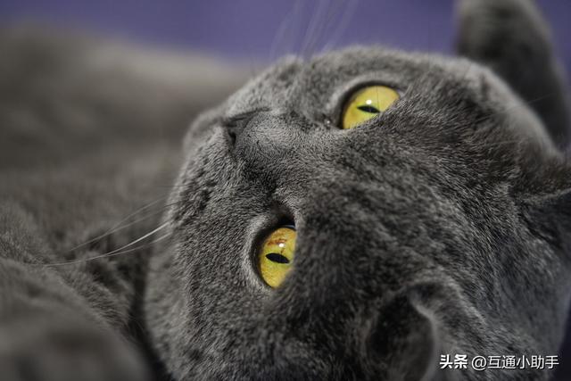 腾龙 90mm F/2.8 Di III MACRO VXD 上手使用体验