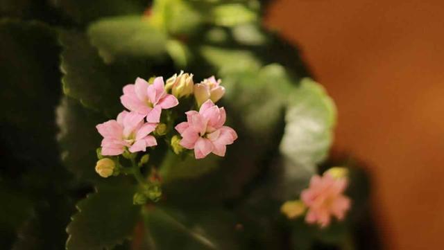 女人退休感悟1：不管有钱没钱	，都要帮子女这三个忙，是为自己好