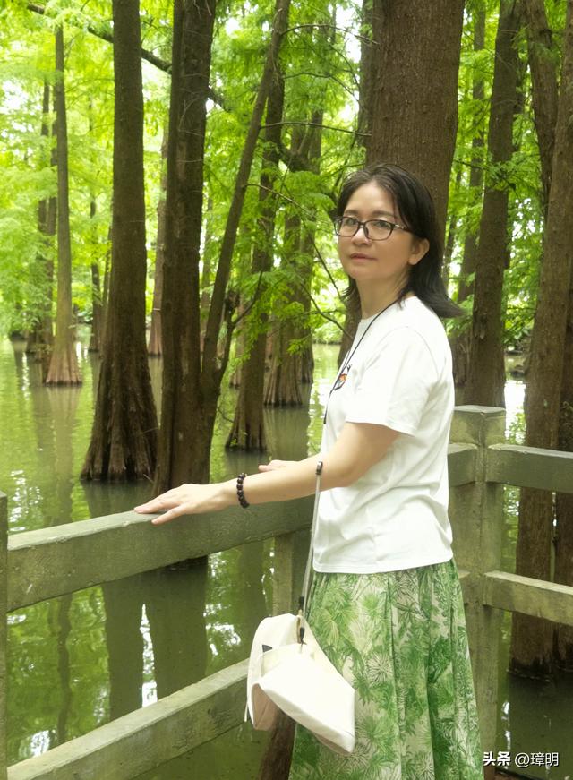 旅行笔记，看人来人往，观树木成行，仿佛走进了电影里的梦幻世界