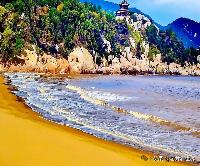 到普陀山磕一宿筒子 ‖ 胡成江