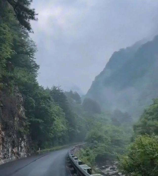 牛蹄岭雾中寻梦-陕西安康红色旅游一