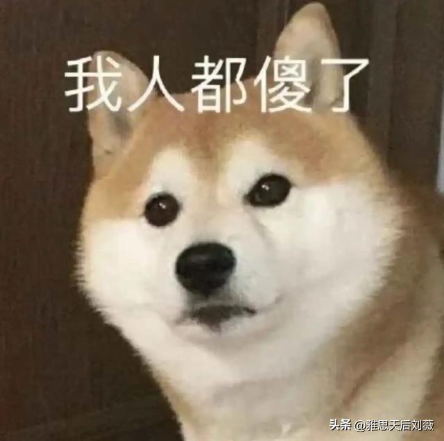 “留子英语”把老外整破防了！评论区一句话直接让老外CPU烧了…