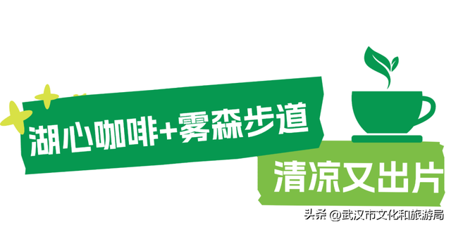 直降5℃！中山公园开“中央空调”了