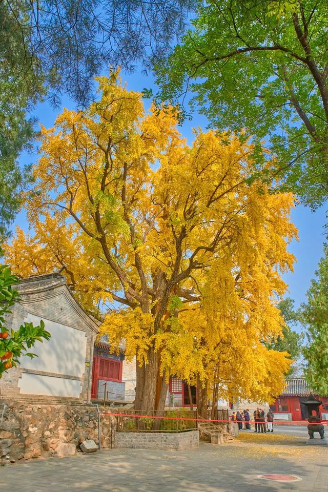 太全面了！8条游玩线路+京郊汤泉！带您玩转北京这里！（1）