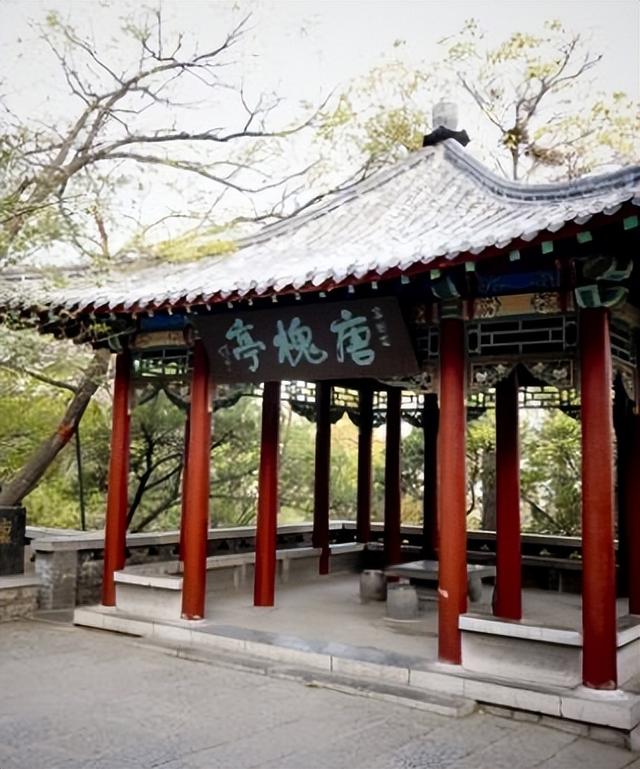 《草根春秋》系列 旅游篇 七 走马观花济南市