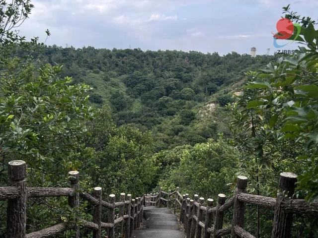 重阳节的正确打开方式！在湛江，用一场登高开启秋日旅程