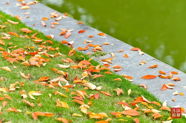 初冬时节，层林尽染，心随景动