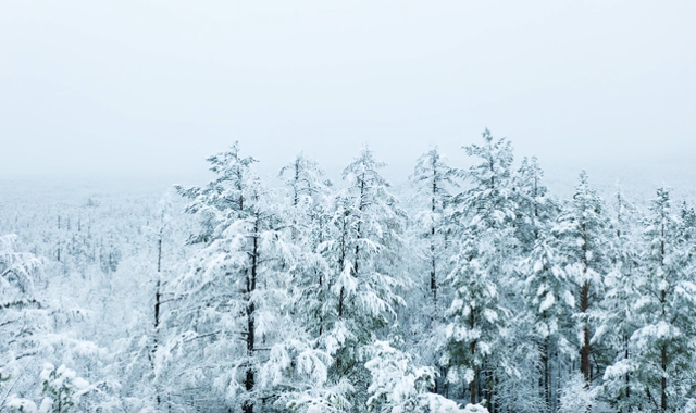 用“Ctrl+”解锁冬日的呼伦贝尔！你心动没？