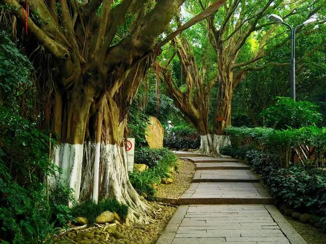 “若得一日闲 山中品千年” 游泉州清源山