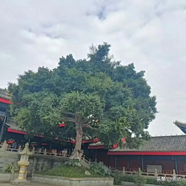 禅院寻静，峨眉的心灵之旅
