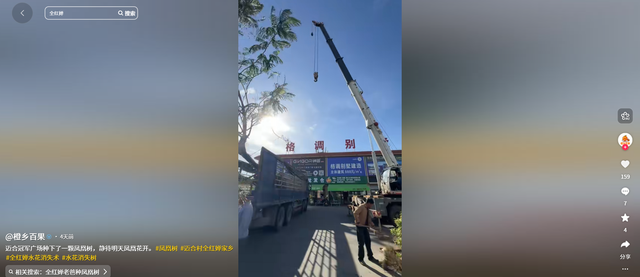 全红婵刚归队，爸爸用她冠军名号赚钱，被骂蹭流量，网友吵翻