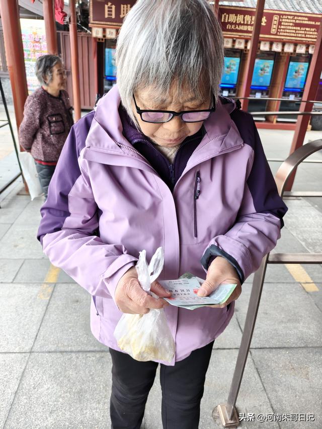 讲述我的写作故事43，《2025年开封赏菊记》。