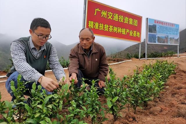 美国4000万人面临断粮！中国已筑牢“反贫”安全防线，成世界榜样