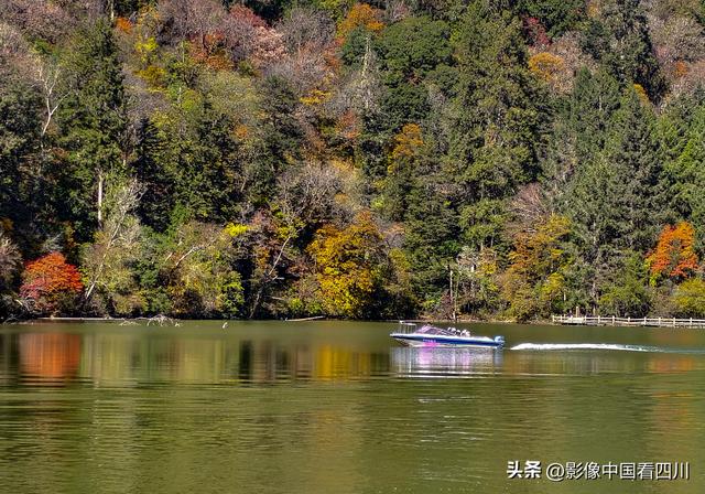 四川九寨沟：甲勿池金秋好风光