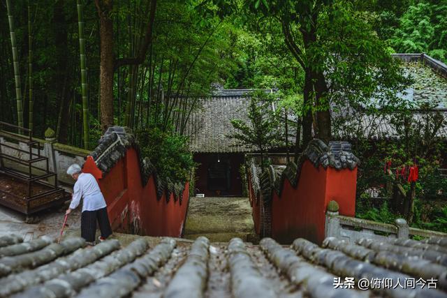 雅安被遗忘的省保，藏着深山中的千年守望