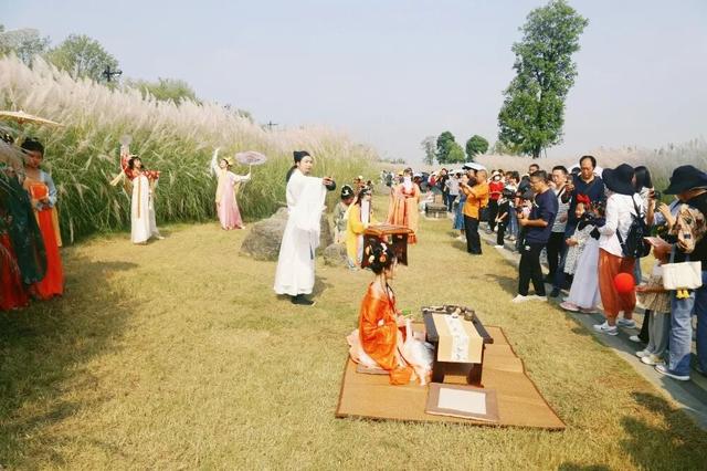 芦荻花开，伊人自来！天汉湿地公园第二届芦苇季即将开始→