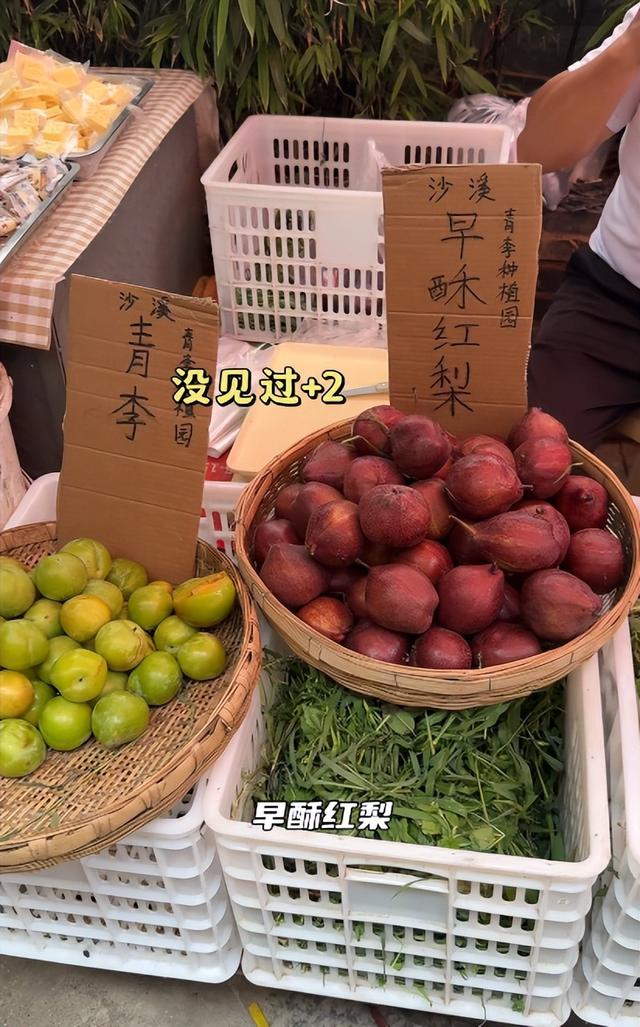 房子斌一家游大理，杨雨婷脸肿馒化严重，18岁女儿大学曝光太优秀