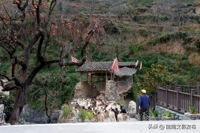 白马河冬日私语