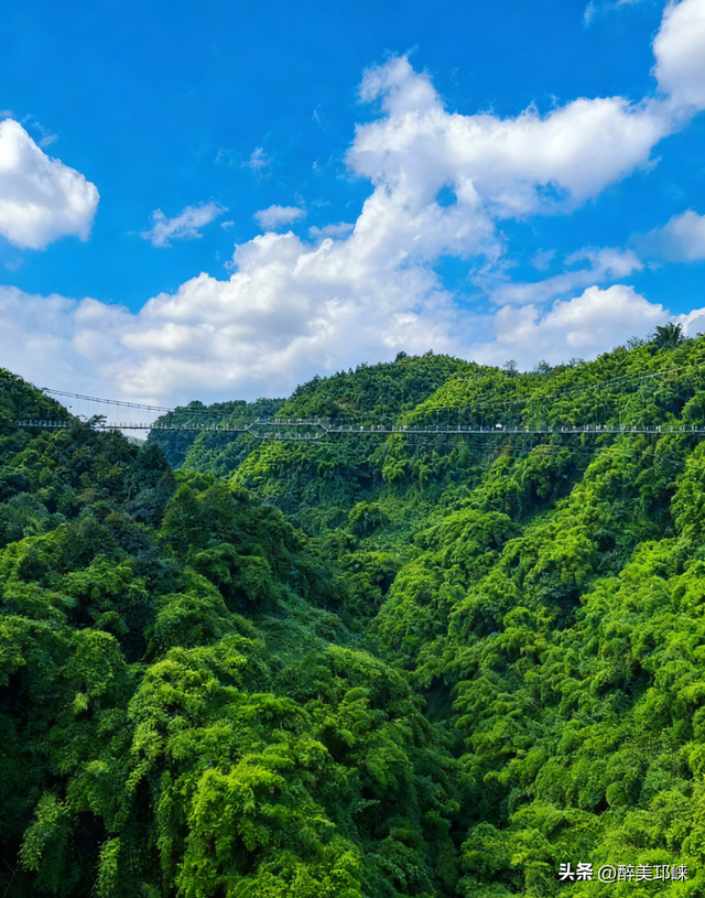 深秋想赴一场“森”系约会？来邛崃就够了！