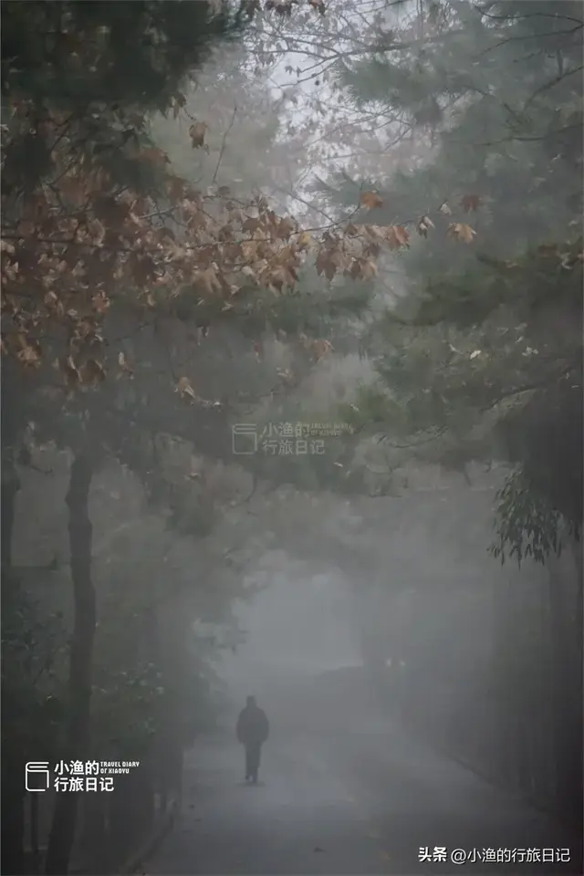 西安藏不住的秦岭神仙秘境！自带仙气，韵味十足，冬天也很美