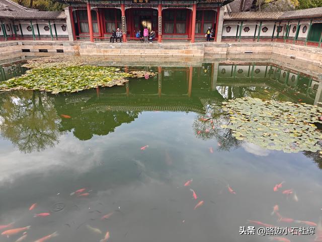 从童年嬉闹到诗意园林——一个北京土著的北海公园记忆