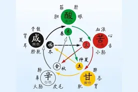 五色食系列——青：芹菜。赵霖教授：每天睡前喝一杯，好处多多图片