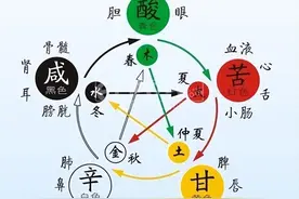 五色食系列——青：芹菜。赵霖教授：每天睡前喝一杯，好处多多图片