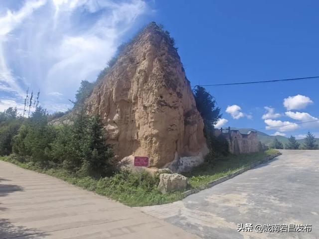 重走长征路—“红色圣地·千年药乡”2025宕昌（南河）首届健康跑